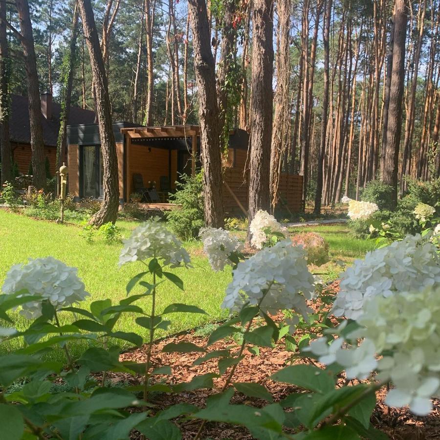 Uroczy Maly Domek Na Lesnej Dzialce - Losiowka Losie Exterior photo